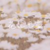 Tsubaki椿 - 花に亡霊