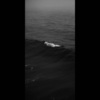 龍角散 - 毁灭 (prod.REVIVAL MUSIC)