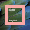 Ensemble Offspring - Lorikeet Corroboree