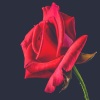 Tim Walker - Roses (Explicit)