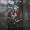 时浅、血回廊、成蹊 - 秦淮八艳