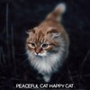 Cat Music、Music For Cats、Cats Music Zone - In Your State of Mind