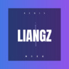 蓬成业 - 两只老虎 (Remix)
