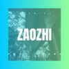 7婉 - 早知惊鸿一场何必情深一往 (Remix)