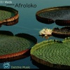 Afroloko - Pisco Funk (Original Mix)