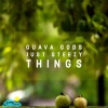 Just Steezy Things、Lifted LoFi - Guava Gods