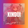 吕蓉 - 王者荣耀李信超燃BGM (DJ版)