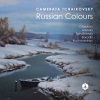 Yuri Zhislin、Camerata Tchaikovsky - Ia. Allegro moderato (Arr. Y. Zhislin for Viola & String Orchestra)