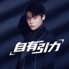 隔壁老樊 - 自有引力