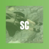 劳康适 - Scorpion (DJ版)