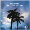Mr. Heyley - What Did You Say