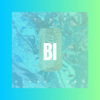 夜未央 - BINGBIAN病变 (DJ版)