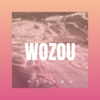 乐琳 - 我走了别难过 (DJ版)