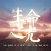 韩磊 - 生命之光