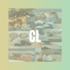 颜进 - CLOSER