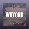 冷致远 - 无用之梦