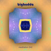 BigBudda - Meditation 242