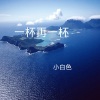 小白色 - 一帘幽梦 (DJ版)