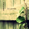 左凡 - 大王叫我来巡山 (律动版)