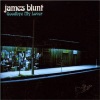 James Blunt - Goodbye My Lover