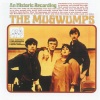 the mugwumps - Searchin'