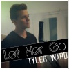 Tyler Ward - Let Her Go