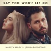 Joshua David Evans、MADILYN - Say You Won't Let Go