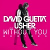 David Guetta - Without You (Extended Version)