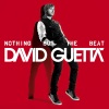 David Guetta - Where Them Girls at