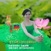天籁天 - 红莲醉