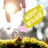K O Star - 好莱坞大道