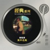蔡枫华 - 风中追风