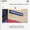 Ronald Brautigam - RonAndante