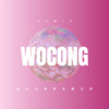 符嘉胜 - 我从没想到会遇见你