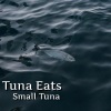 DH、Small Tuna - Tuna