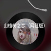 阿具 - 念你的好 (网红版)