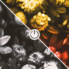 Sam Cross、Dysphoria - Reboot