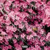 Antidote、TrinkX、Do or Die - What You Need (Explicit)