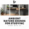 Study With Us - Ultimate Ambient Noise