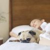 Studying Music、Deep Sleep Music Experience、Sleep Waves - Lullaby Dance