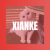 圈妹、戎碧春 - 我的心每分每刻仍然被她占有 (Remix)