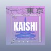 叶婷 - 开始懂了 (Remix)