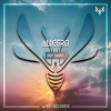 Allegro《My Way》[MP3/LRC]