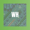 DJ胖虎 - When We Stand Together (Remix)