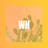 韶昌 - Why (Remix)