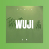 解晓枫 - 无羁 (DJ版)