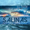 Aaron Tesser、D.J. Thor、Akeem One Soul - Salinas (Akeem One Soul Mix)