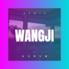 叶曼 - 忘记你太难 (DJ版)