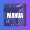 殴康德 - 麻花辫子