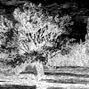 JS、Volte-Face - Reduction 2 (Volte-Face Remix)